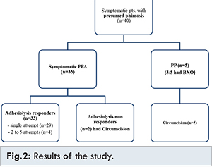 PDF] Pathologic and physiologic phimosis: approach to the phimotic  foreskin.